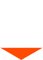 Chemanex Logo
